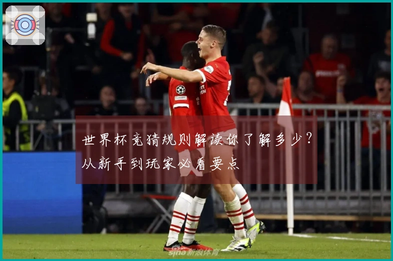 世界杯竞猜规则解读你了解多少？从新手到玩家必看要点