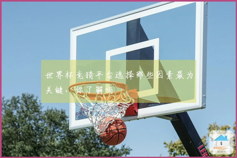 世界杯竞猜平台选择那些因素最为关键，你了解吗
