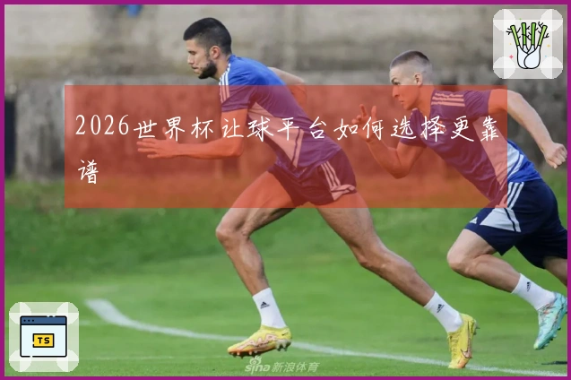 2026世界杯让球平台如何选择更靠谱