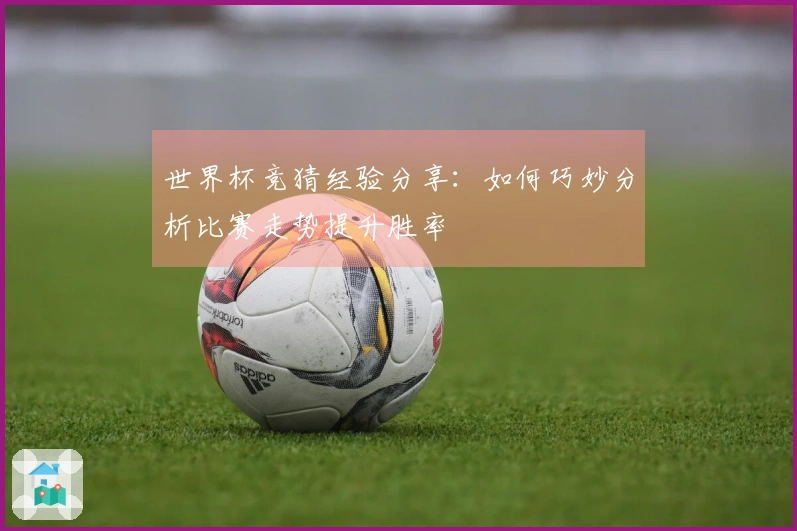 世界杯竞猜经验分享：如何巧妙分析比赛走势提升胜率
